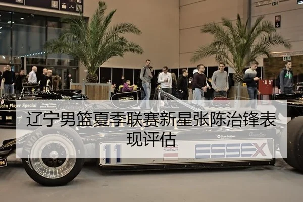 liao-ning-nan-lan-xia-ji-lian-sai-xin-xing-zhang-chen-zhi-feng-biao-xian-ping-gu-2-375.jpg