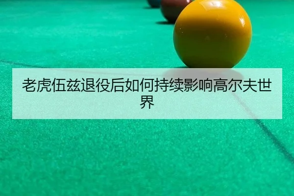 lao-hu-wu-zi-tui-yi-hou-ru-he-chi-xu-ying-xiang-gao-er-fu-shi-jie-3-160.jpg