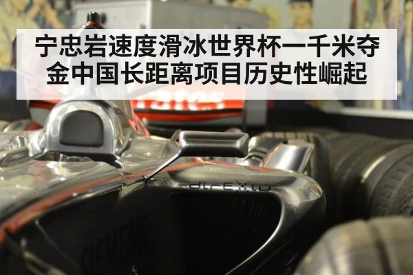 宁忠岩速度滑冰世界杯一千米夺金中国长距离项目历史性崛起